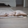 Lilli-Marleen Rassel Schmusetuch Mietzi Lou – Bild 5