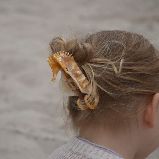 Haarspange *Seepferdchen* - Perlmutt Kopf