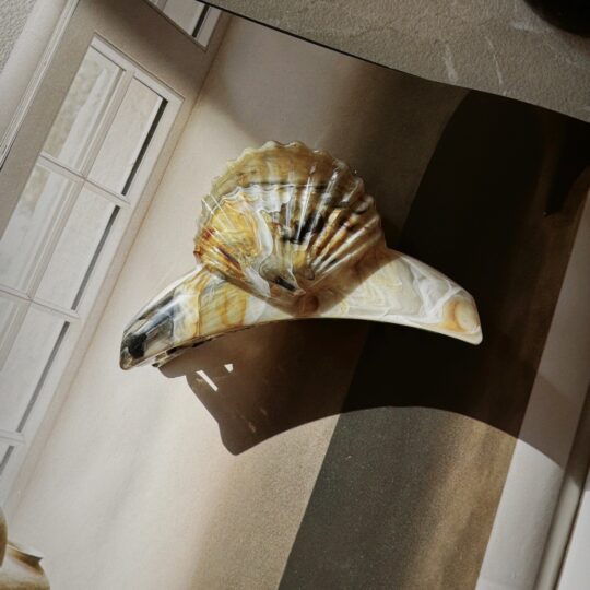 Haarspange Muschel Vongole Buch