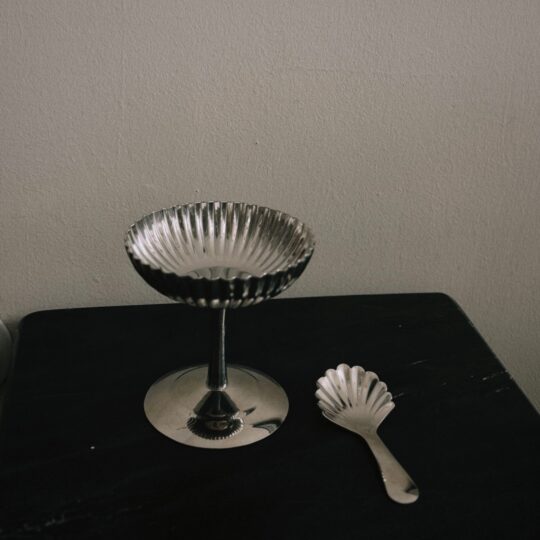 Edelstahl Dessert-/Eisschale mit Muschel-Löffel