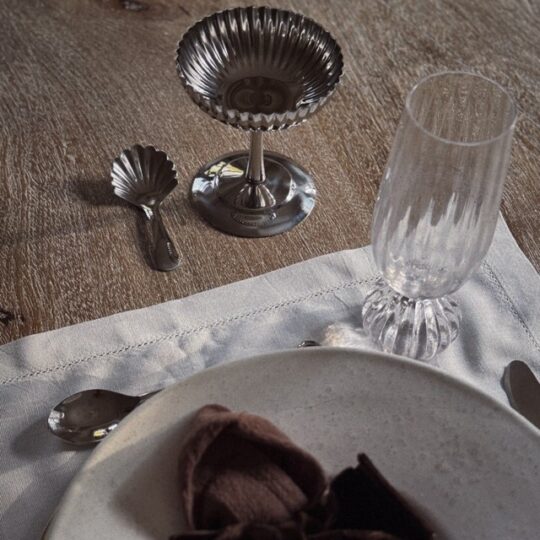 Edelstahl Dessert-/Eisschale mit Muschel-Löffel Tisch